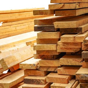 Cypress timber in kenya